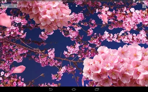 Flowers 3D live wallpaper screenshot 4