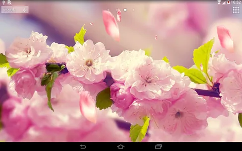 Flowers 3D live wallpaper screenshot 5