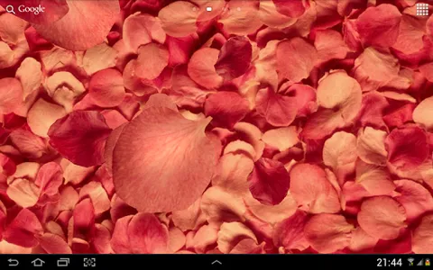 Petals 3D live wallpaper screenshot 8