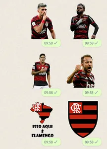 Figurinhas do Flamengo |Mengão screenshot 16
