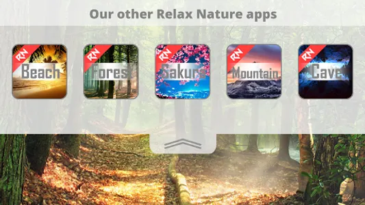 Relax Nature: Forest screenshot 8