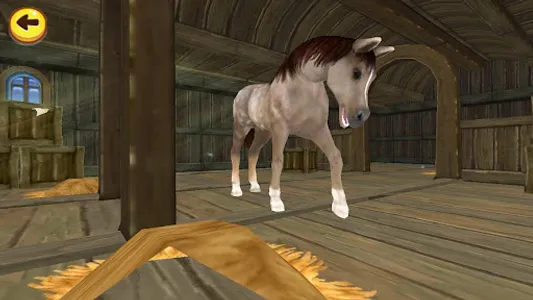 Horse Quest screenshot 14