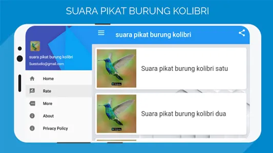 suara pikat burung kolibri screenshot 4