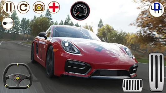 Simulator Porsche Cayman GTS screenshot 2