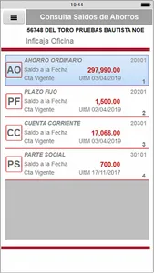 CS Sur Jalisco Saldos screenshot 2