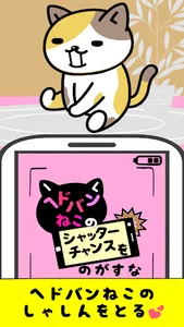 Headbang Cat Shutter Chance screenshot 5