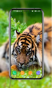 Tiger Wallpapers screenshot 0