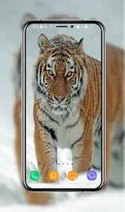 Tiger Wallpapers screenshot 10