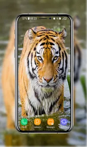 Tiger Wallpapers screenshot 11