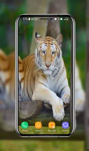 Tiger Wallpapers screenshot 12