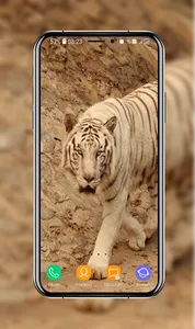 Tiger Wallpapers screenshot 14