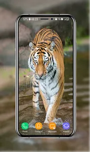 Tiger Wallpapers screenshot 2