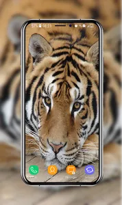 Tiger Wallpapers screenshot 3