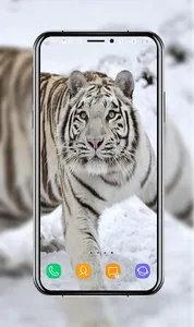 Tiger Wallpapers screenshot 6