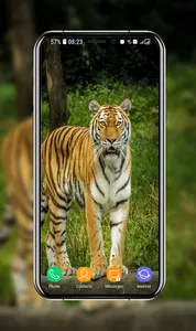 Tiger Wallpapers screenshot 7