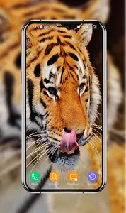 Tiger Wallpapers screenshot 9