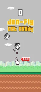 Jun Fly(JunFly) screenshot 0