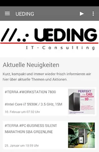 Ueding IT-Consulting screenshot 0