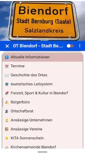 OT Biendorf screenshot 2