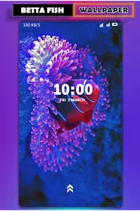 Betta Fish Wallpaper screenshot 4