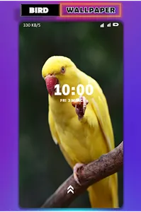Bird wallpaper screenshot 0