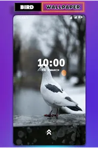 Bird wallpaper screenshot 1