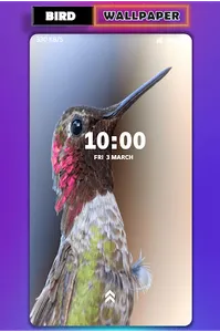 Bird wallpaper screenshot 3