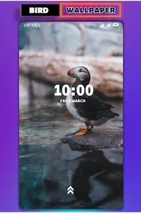 Bird wallpaper screenshot 5