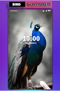Bird wallpaper screenshot 6