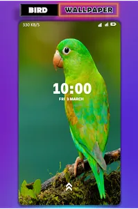 Bird wallpaper screenshot 7