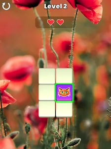 Memory Match screenshot 12
