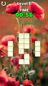 Memory Match screenshot 2