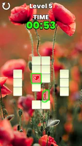 Memory Match screenshot 3