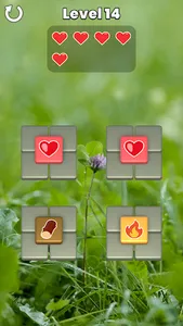 Memory Match screenshot 5