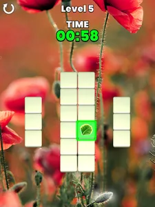 Memory Match screenshot 7
