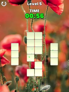 Memory Match screenshot 8