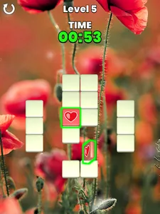 Memory Match screenshot 9
