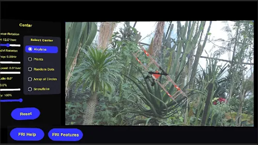 Magical Spinning Airplane P screenshot 2