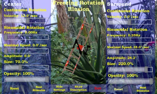 The Freezing Rotation Illusion screenshot 0