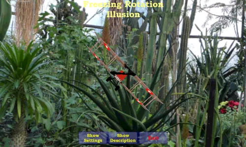 The Freezing Rotation Illusion screenshot 1