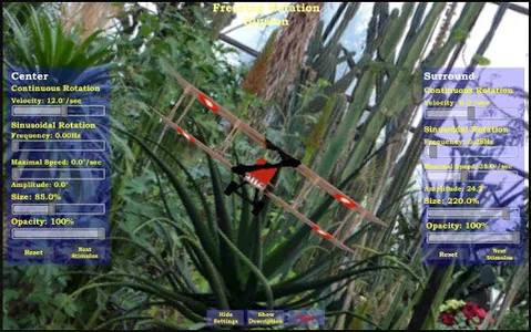 The Freezing Rotation Illusion screenshot 3
