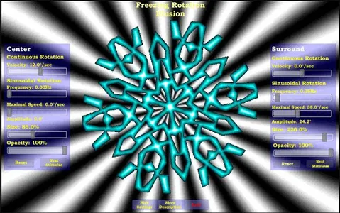 The Freezing Rotation Illusion screenshot 4
