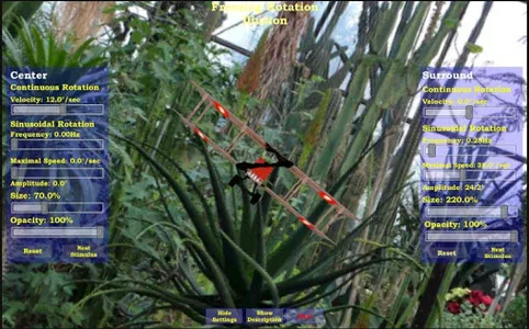 The Freezing Rotation Illusion screenshot 5