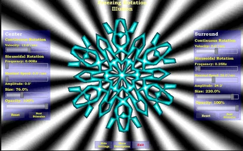 The Freezing Rotation Illusion screenshot 6