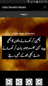 Urdu Sunehri Batain screenshot 1