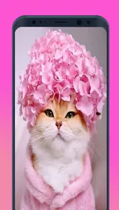 Teen wallpaper screenshot 7