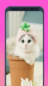 kawaii Unicorn Dream wallpaper screenshot 4