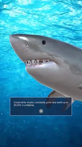 Ecotech AR screenshot 2