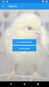 Venkys Parent Production screenshot 3