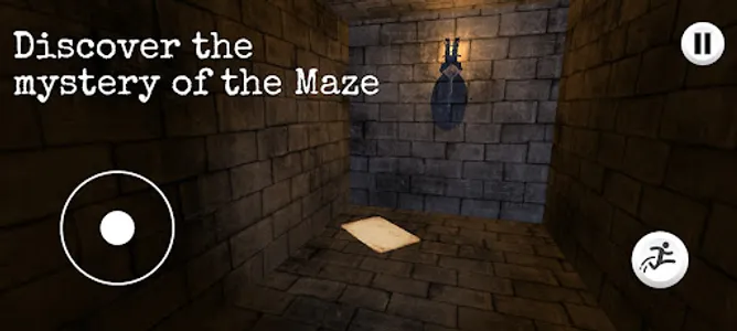 The Maze Pro screenshot 2